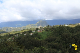 Vue sur Salazie