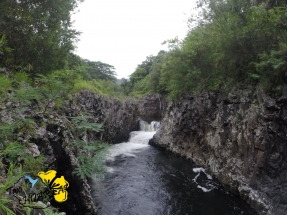 Rivière Bassin La Paix