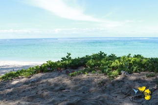 Plage de l&#039;hemitage